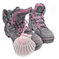 logo_boots_pinkLight_sqr2026